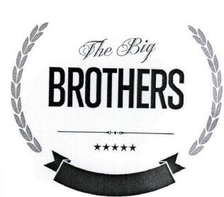 Imagen de THE BIG BROTHERS