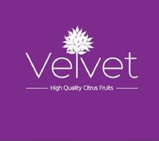 Imagen de VELVET