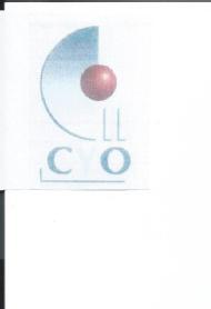 Imagen de CYO