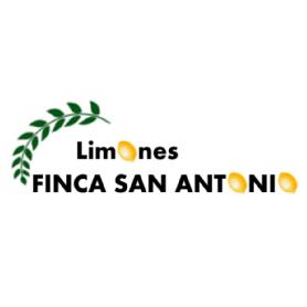 Imagen de LIMONES FINCA SAN ANTONIO