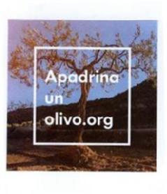 Imagen de APADRINA UN OLIVO.ORG