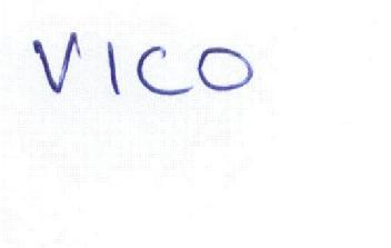 Imagen de VICO