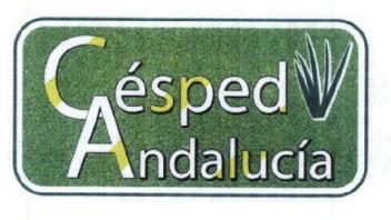 Imagen de CESPED ANDALUCIA