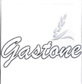 Imagen de GASTONE