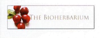 Imagen de THE BIOHERBARIUM