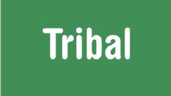Imagen de TRIBAL