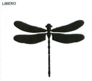 Imagen de LIBERO