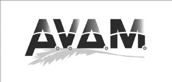 Imagen de AVAM