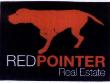 Imagen de RED POINTER REAL ESTATE