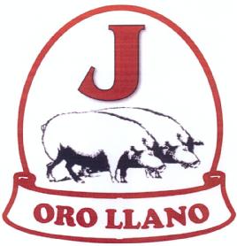 Imagen de J ORO LLANO