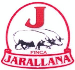Imagen de J FINCA JARALLANA
