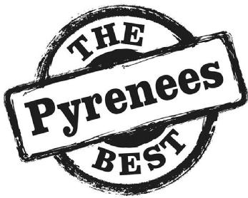 Imagen de THE BEST PYRENEES