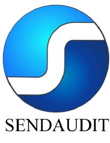 Imagen de SENDAUDIT