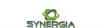 Imagen de SYNERGIA