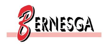 Imagen de BERNESGA