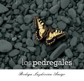 Imagen de LOS PEDREGALES BODEGA LUZDIVINA AMIGO