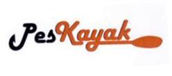 Imagen de PES KAYAK