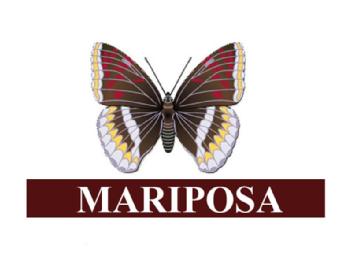 Imagen de MARIPOSA