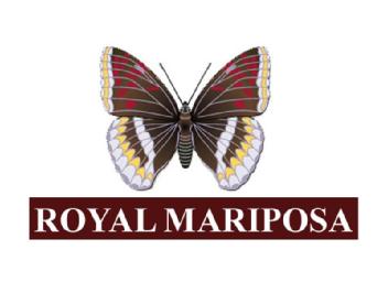Imagen de ROYAL MARIPOSA