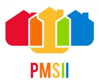Imagen de PMSII