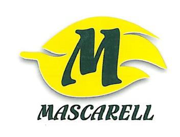 Imagen de M MASCARELL