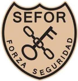 Imagen de SEFOR FORZA SEGURIDAD