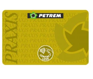 Imagen de PETREM PRAXIS