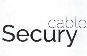 Imagen de CABLE SECURY