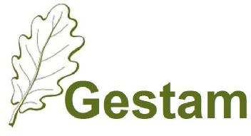 Imagen de GESTAM