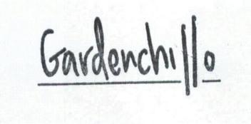 Imagen de GARDENCHILLO