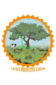 Imagen de CACTUS PROTECTIVE SYSTEM