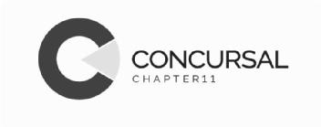 Imagen de CONCURSAL CHAPTER 11