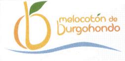 Imagen de MELOCOTON DE BURGOHONDO