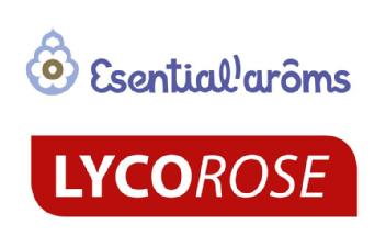 Imagen de ESENTIAL AROMS LYCO ROSE