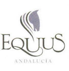 Imagen de EQUUS ANDALUCIA