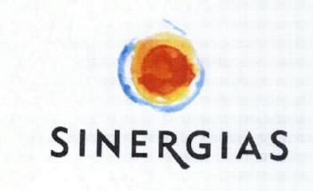 Imagen de SINERGIAS