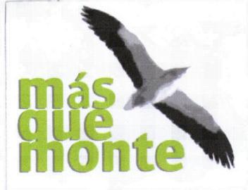 Imagen de MAS QUE MONTE