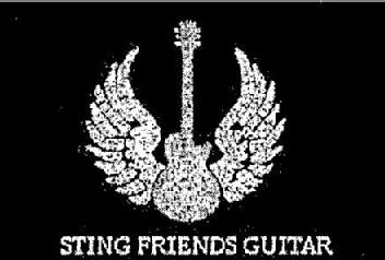 Imagen de STING FRIENDS GUITAR