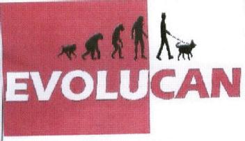 Imagen de EVOLUCAN