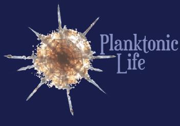 Imagen de PLANKTONIC LIFE