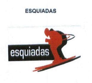 Imagen de ESQUIADAS