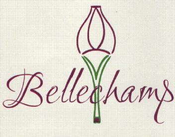 Imagen de BELLECHAMPS