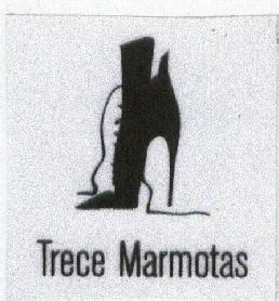 Imagen de TRECE MARMOTAS