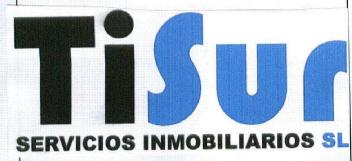 Imagen de TISUR SERVICIOS INMOBILIARIOS SL
