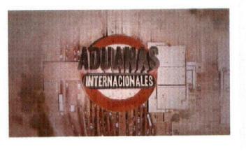 Imagen de ADUANAS INTERNACIONALES