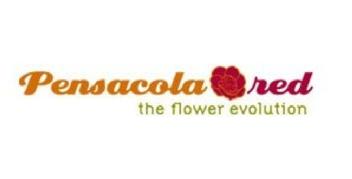Imagen de PENSACOLA RED THE FLOWER EVOLUTION