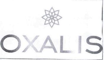 Imagen de OXALIS