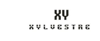 Imagen de XY XYLVESTRE