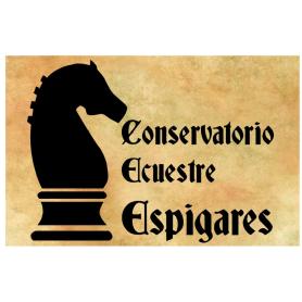 Imagen de CONSERVATORIO ECUESTRE ESPIGARES