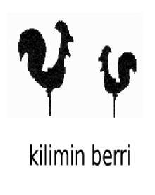Imagen de KILIMIN BERRI